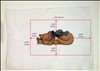 Braided Cording